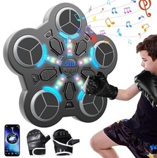 SMART PUNCHING BOXING