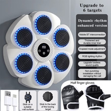 Smart Punching Boxing